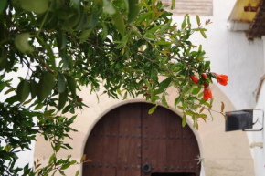 Отель Casa de la Placeta del Rincón  Моклин